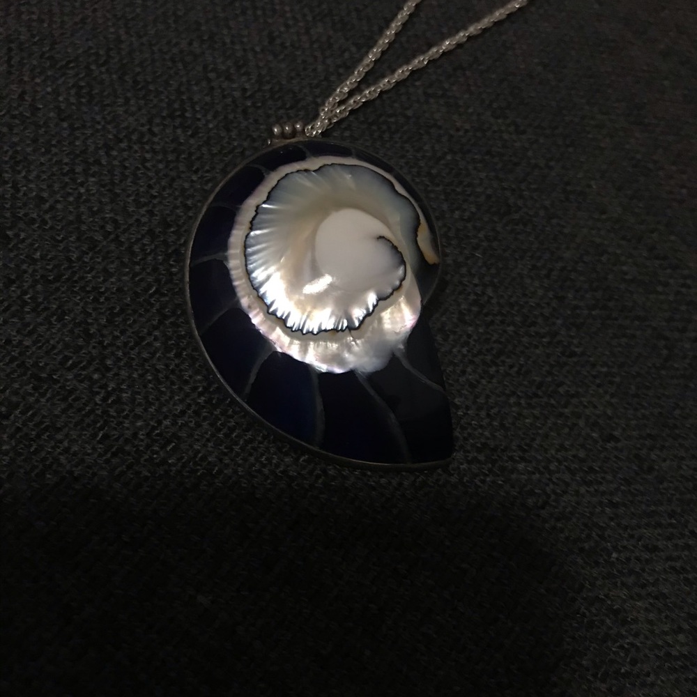 Gorgeous unique shell necklace